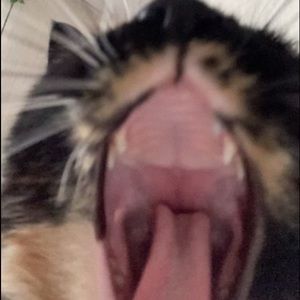 Meet your Posher, Ruby